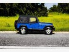 Thumbnail Photo 5 for 1994 Jeep Wrangler